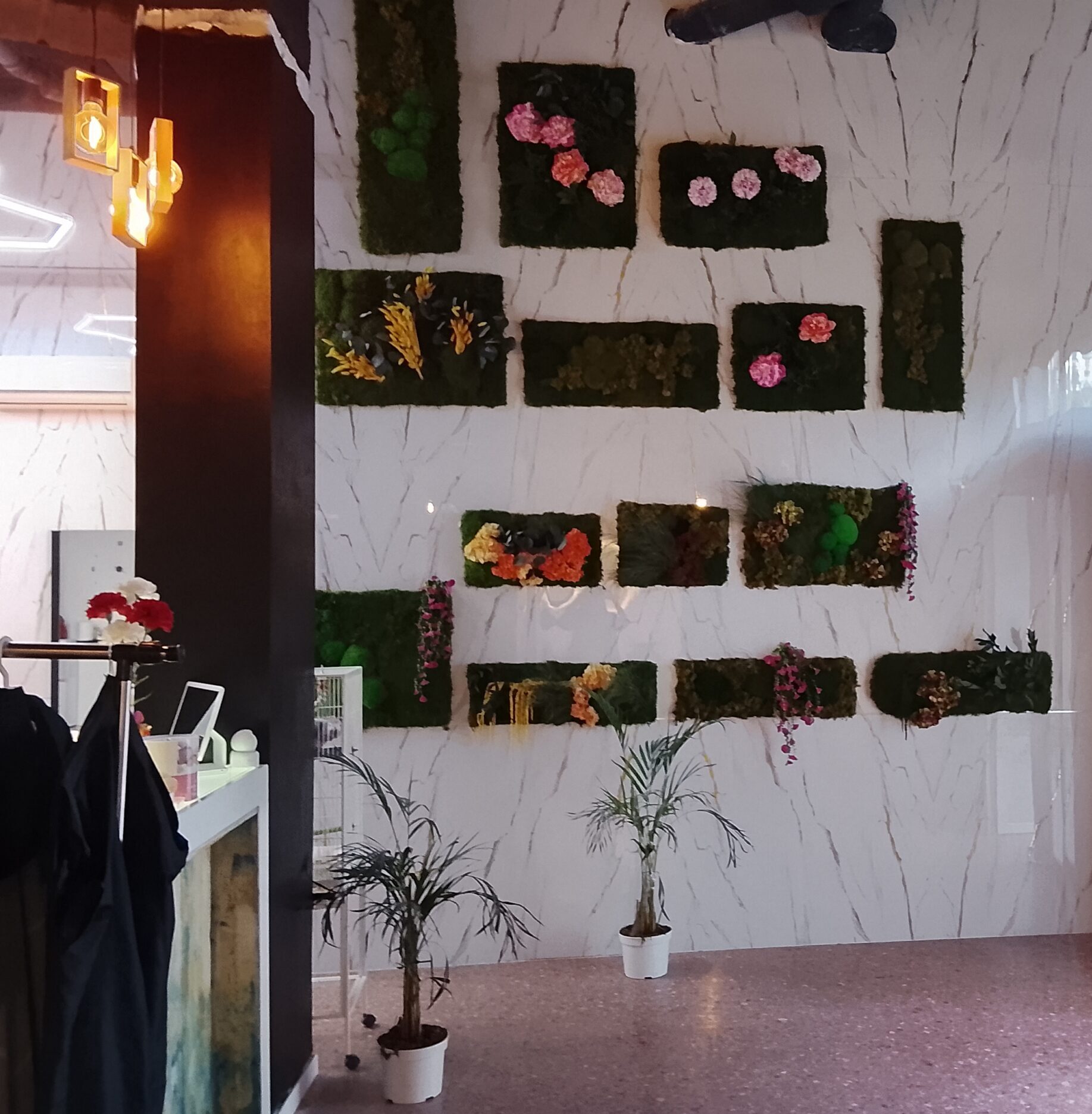 Pared vegetal decorativa en la recepción de Velisse Burjassot